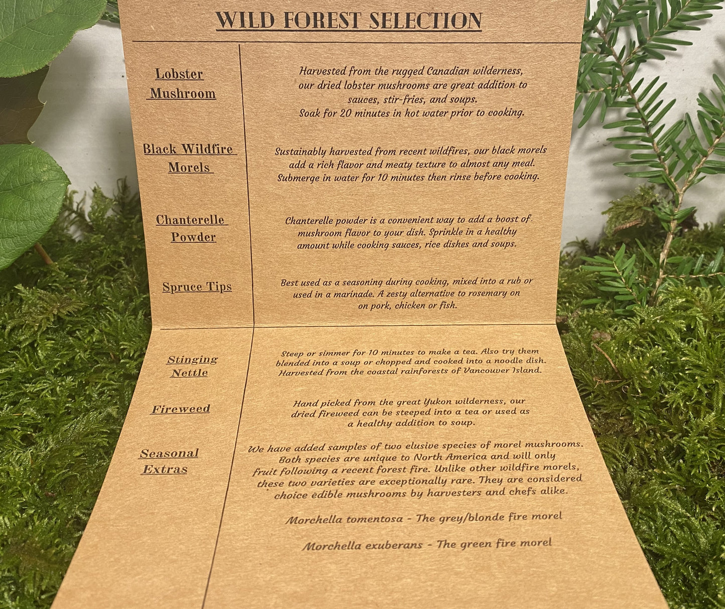 Wild Forest Selection Variety Box