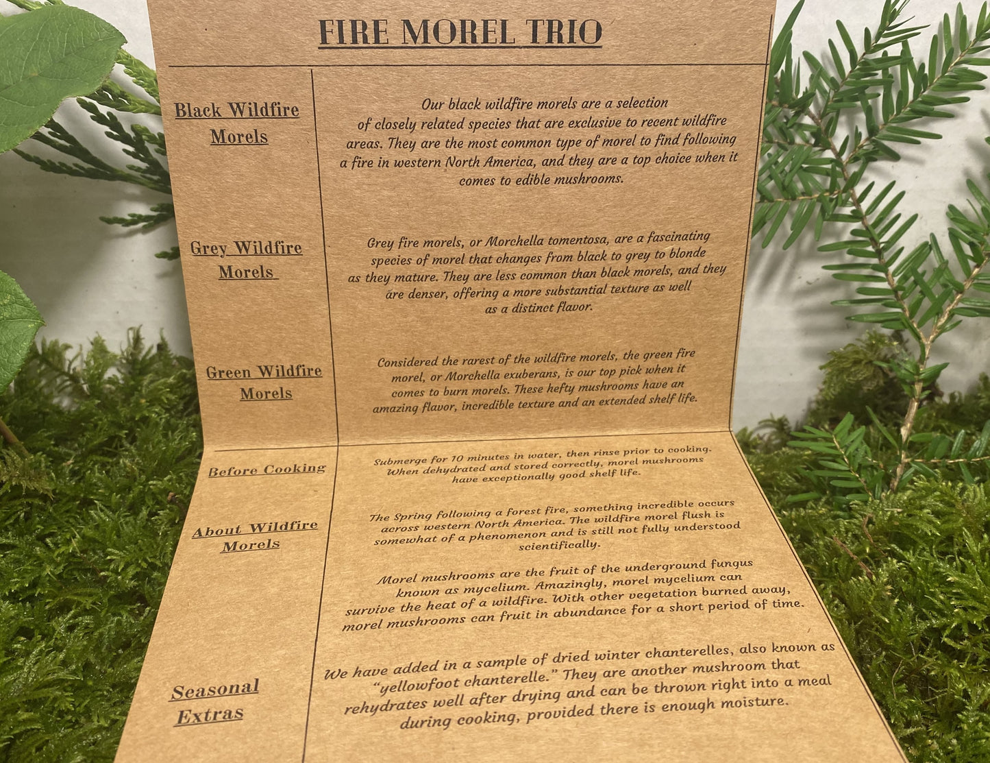Fire Morel Trio Variety Box