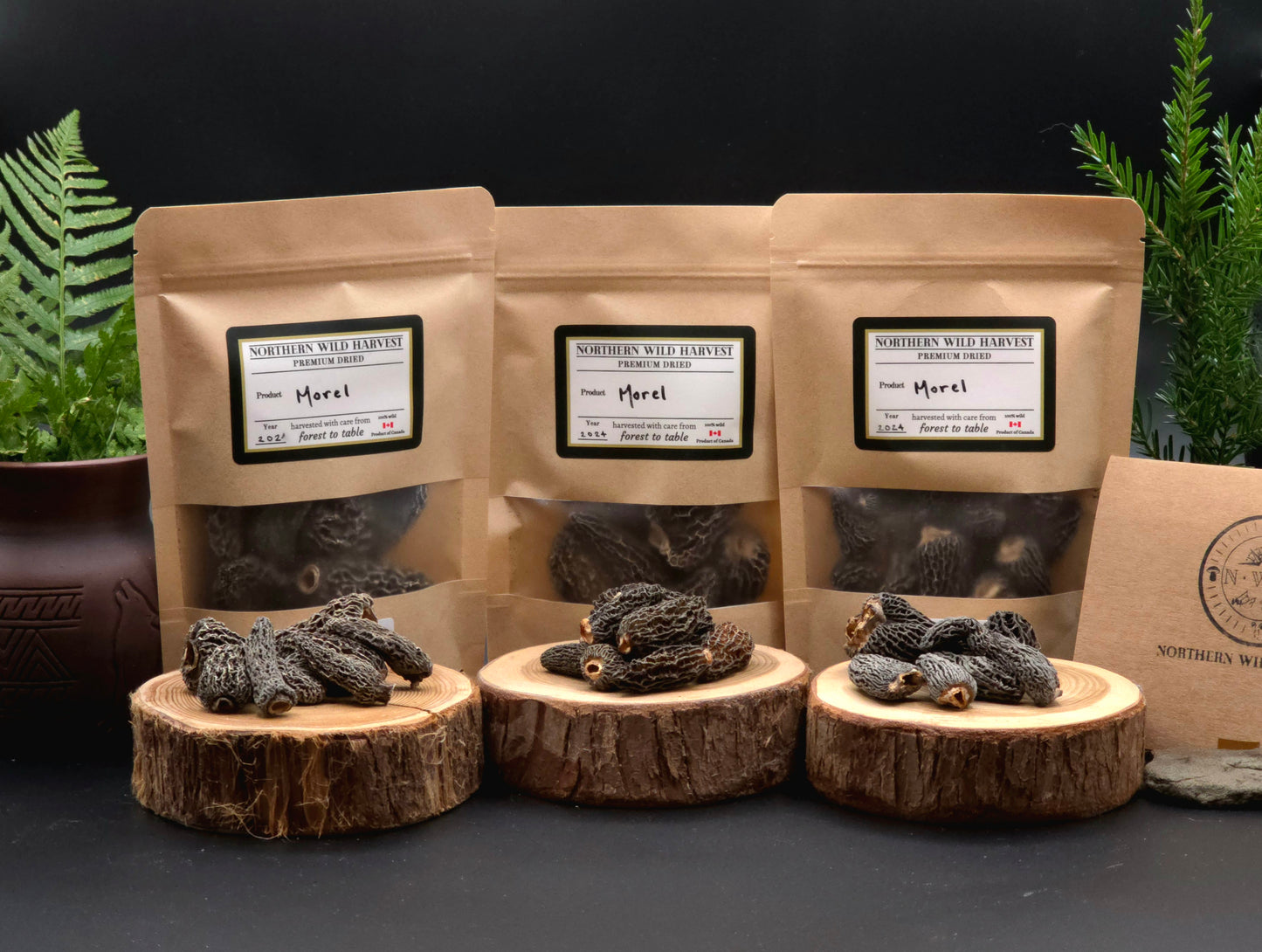 Fire Morel Trio Variety Box