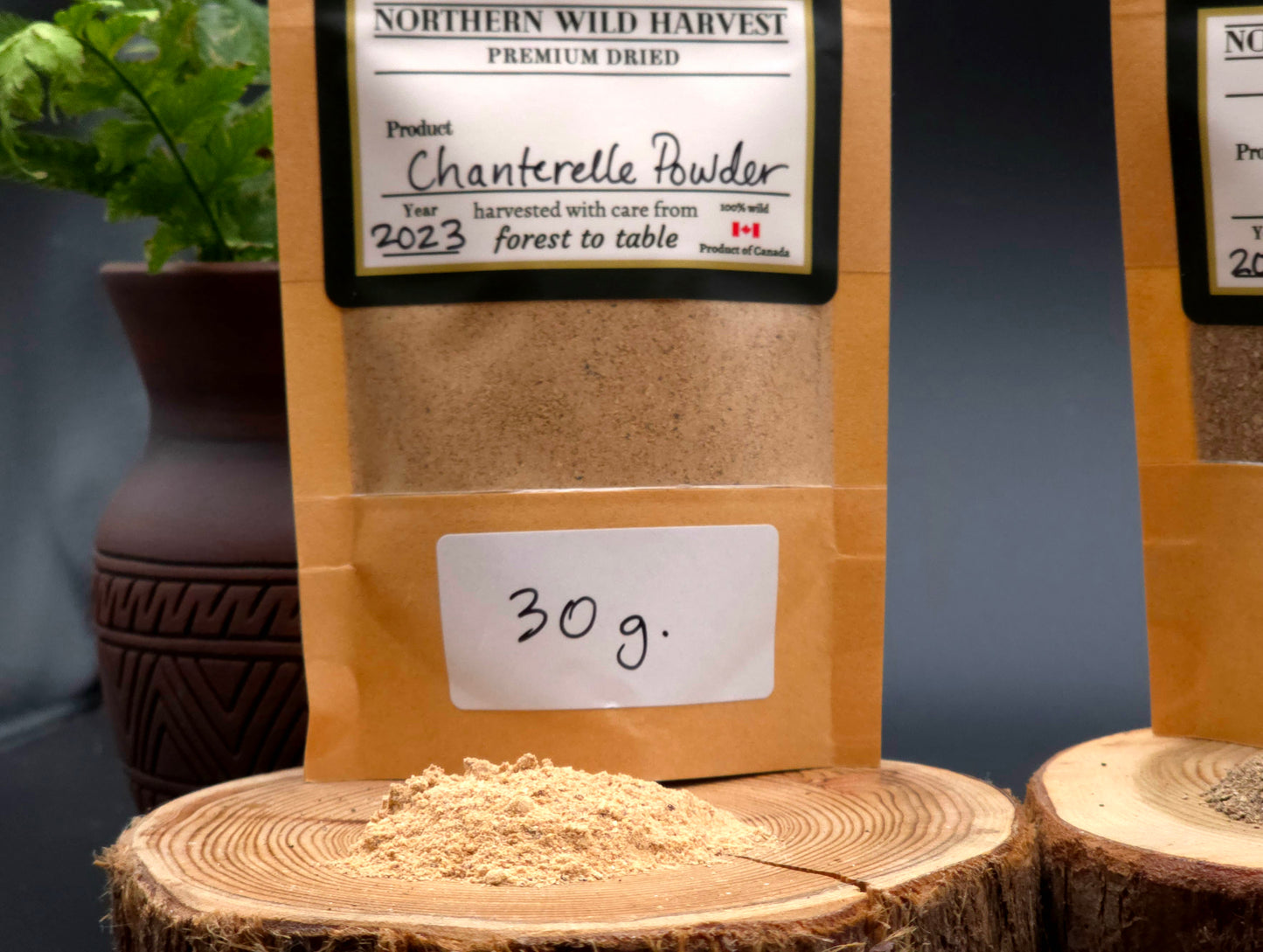 Three-Season Sampler - Mushroom Powder Variety Box