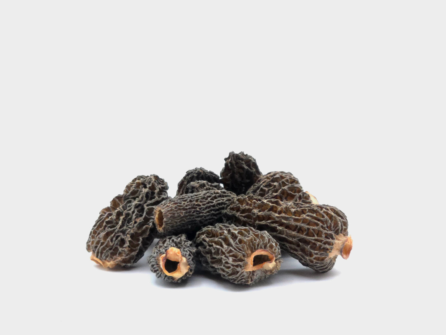 Dried Morel Mushrooms