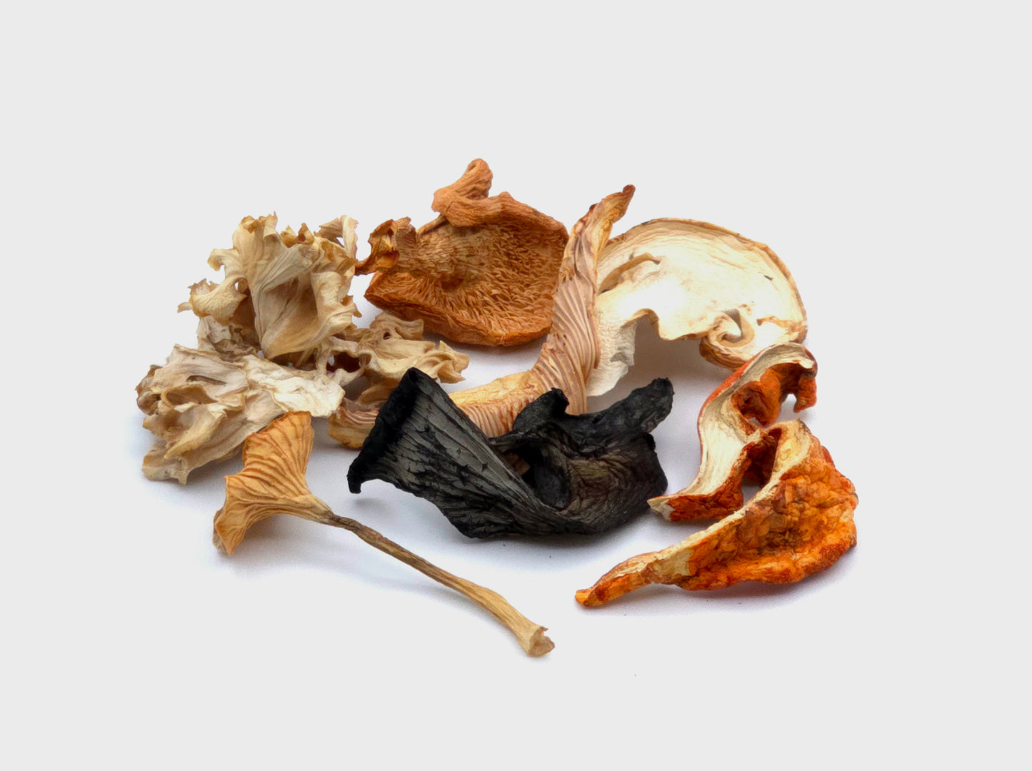 2024 Dried Wild Mushroom Medley