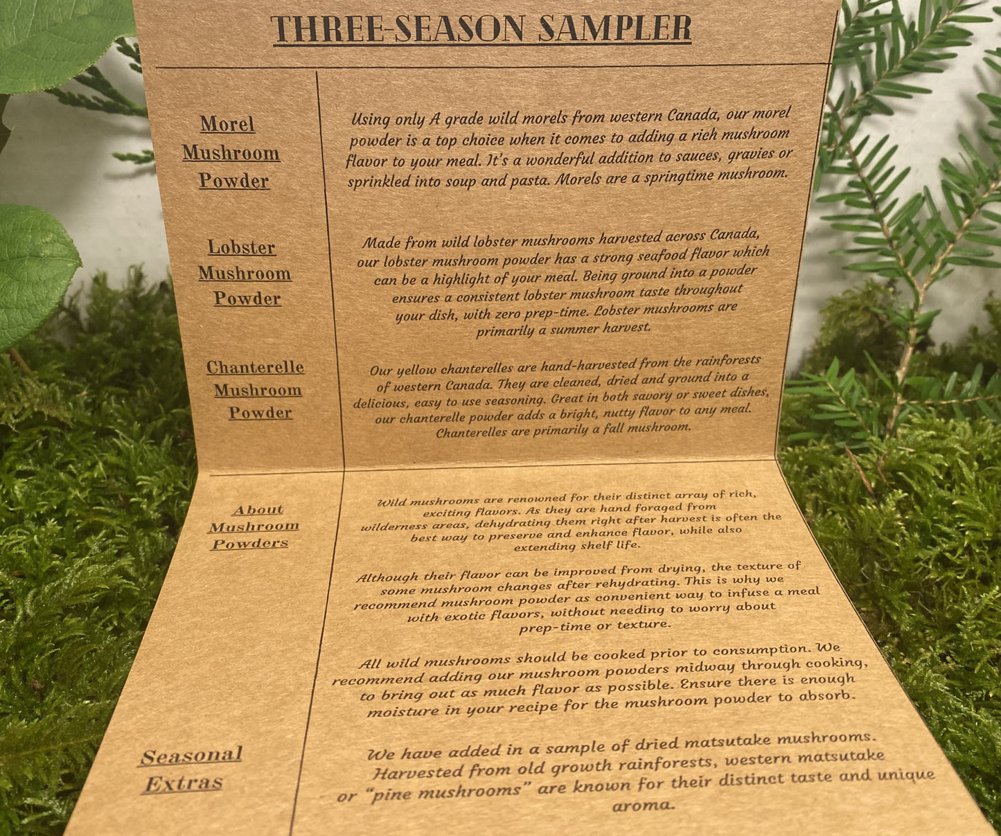 Three-Season Sampler - Mushroom Powder Variety Box