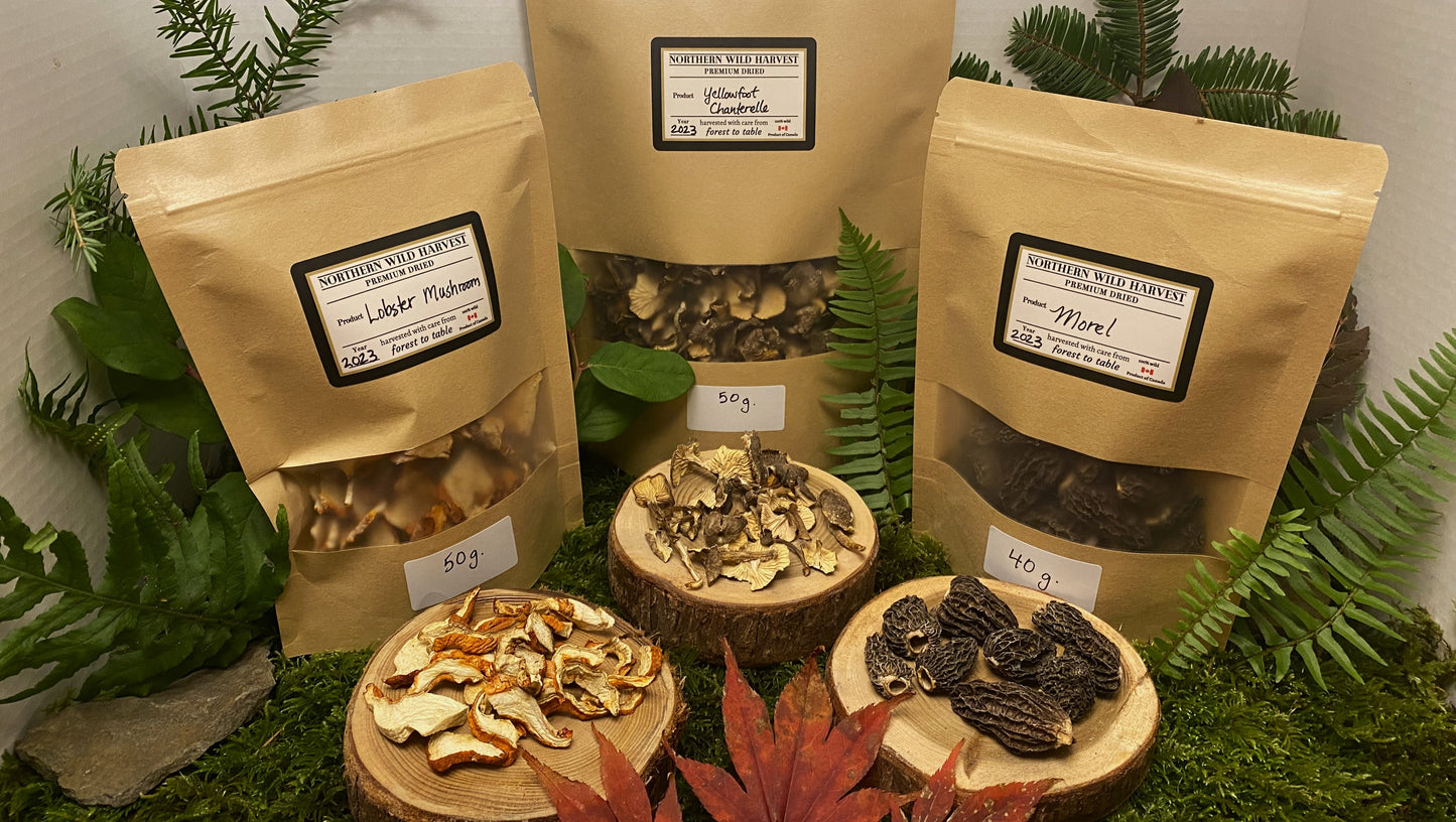 Featured Special - Dried Lobster, Dried Morel, Dried Yellowfoot Chanterelle Mushrooms