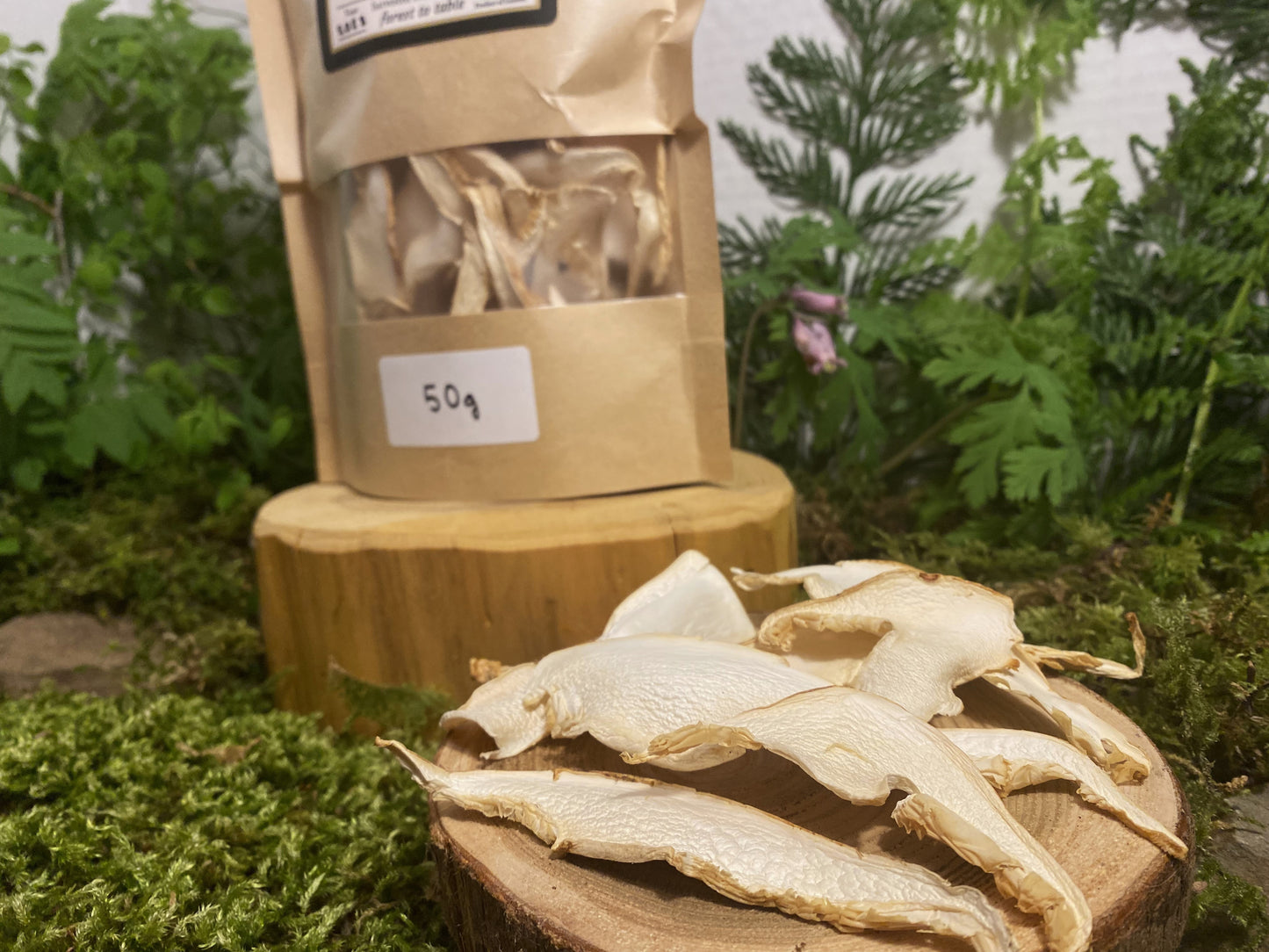 Dried Pine Mushrooms