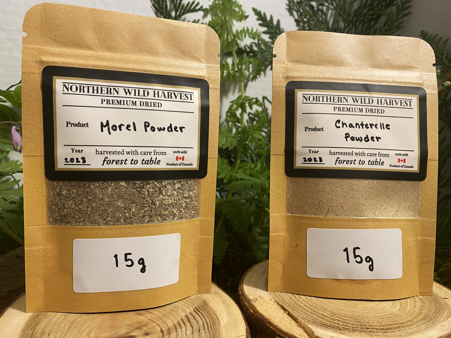 Featured Special - Morel, Chanterelle, Pine, Lobster Mushroom Powders